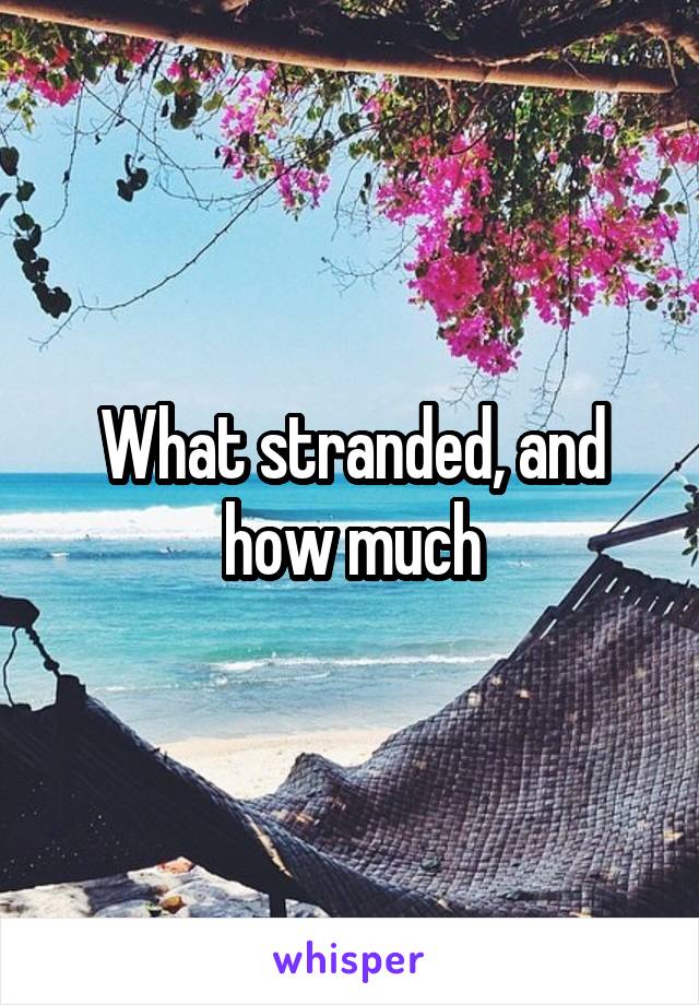 What stranded, and how much
