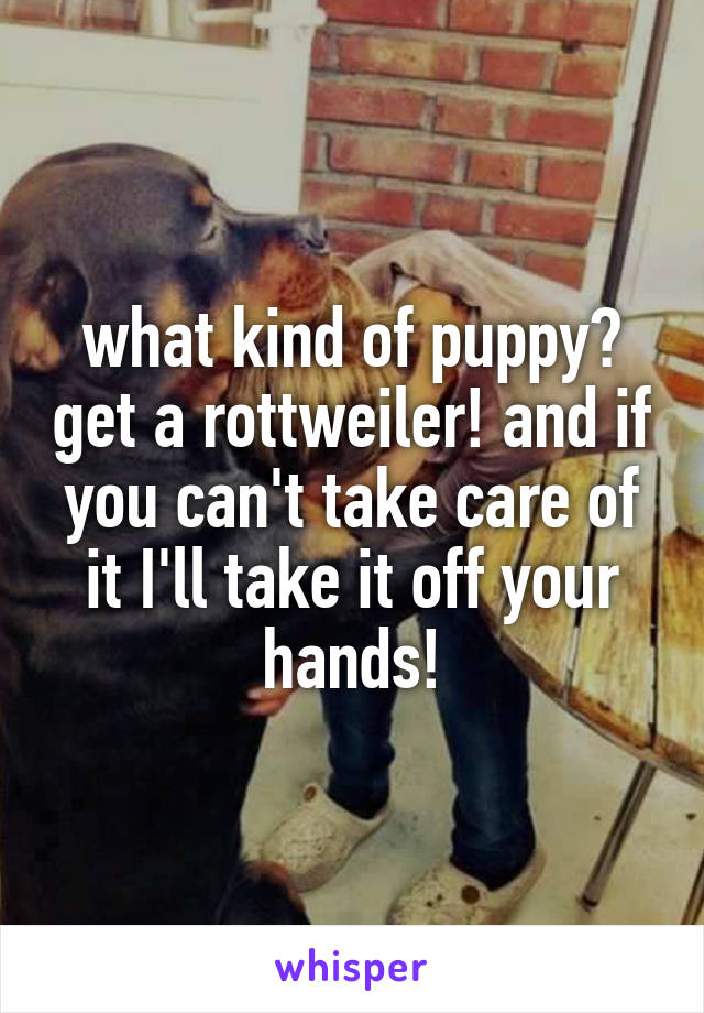  what kind of puppy?  get a rottweiler! and if you can't take care of it I'll take it off your hands!