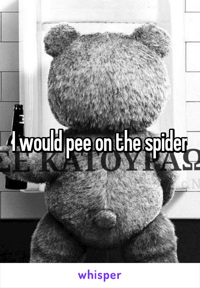 I would pee on the spider