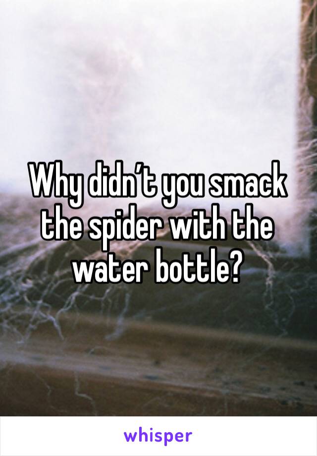 Why didn’t you smack the spider with the water bottle?