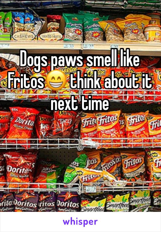 Dogs paws smell like Fritos😁 think about it next time
