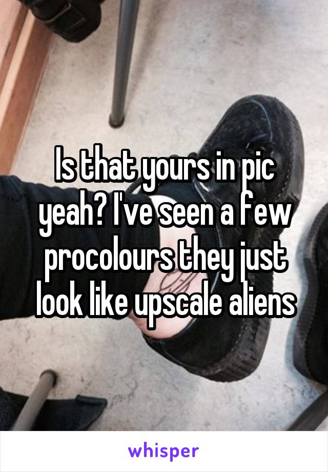 Is that yours in pic yeah? I've seen a few procolours they just look like upscale aliens