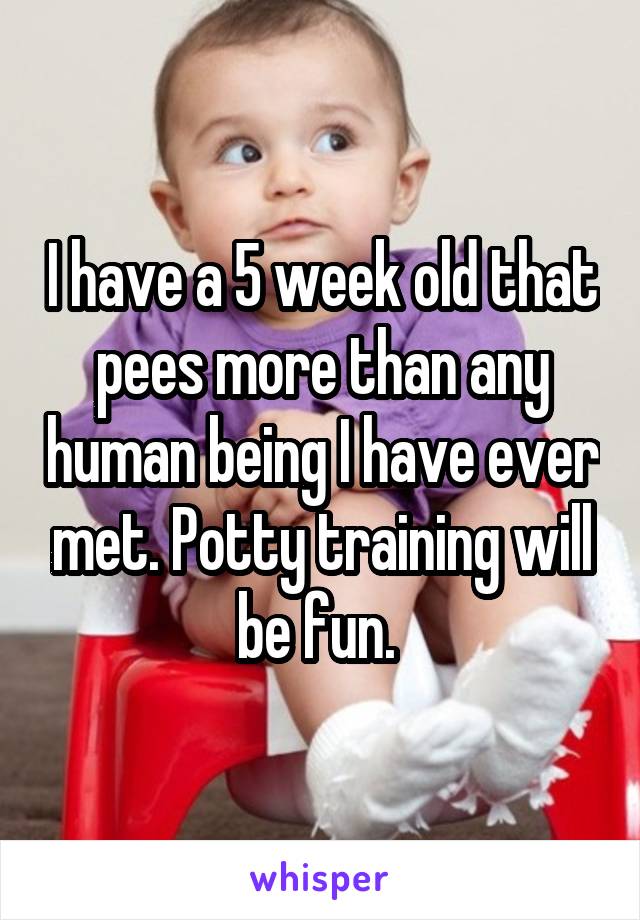 I have a 5 week old that pees more than any human being I have ever met. Potty training will be fun. 
