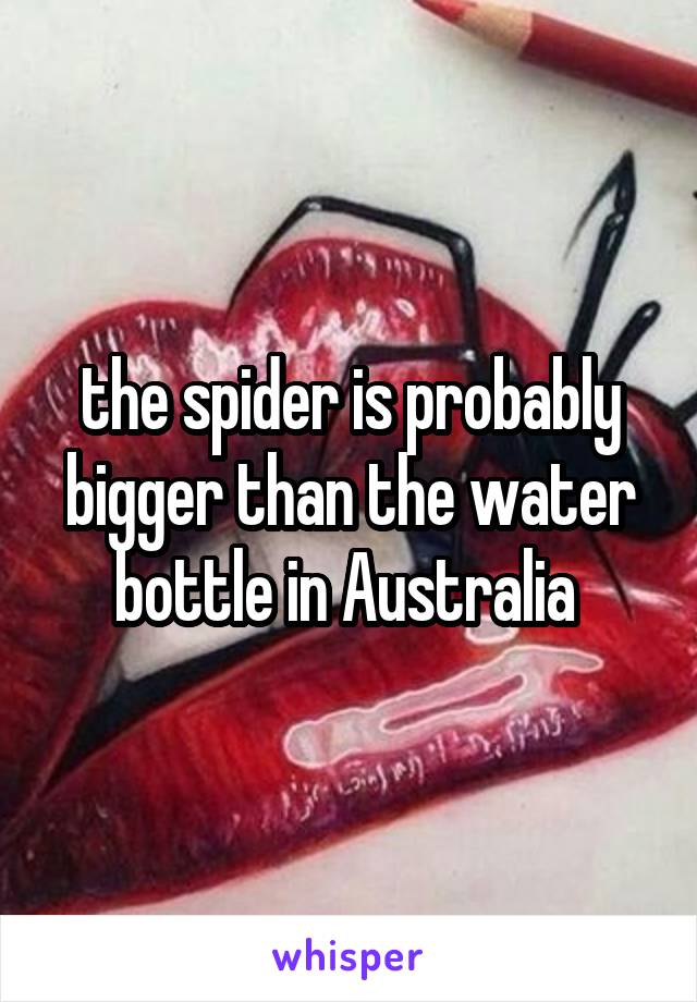 the spider is probably bigger than the water bottle in Australia 