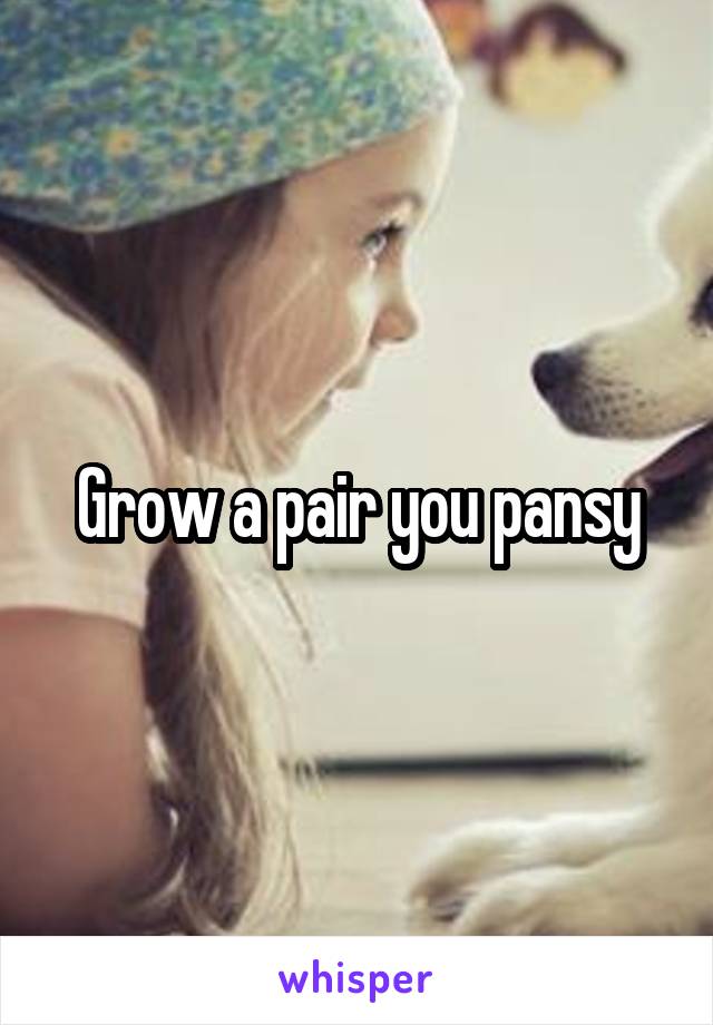 Grow a pair you pansy