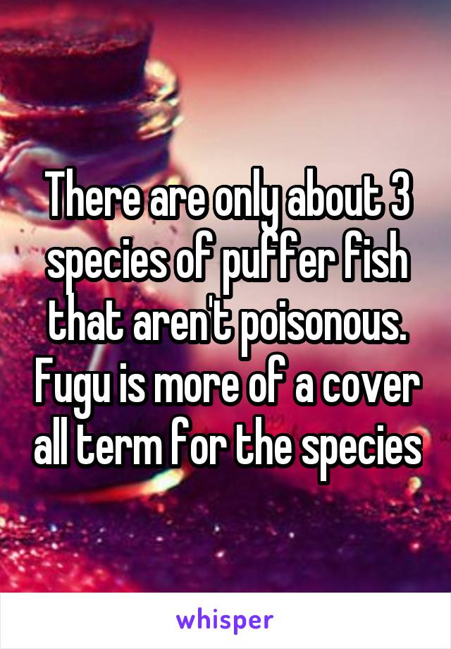 There are only about 3 species of puffer fish that aren't poisonous. Fugu is more of a cover all term for the species
