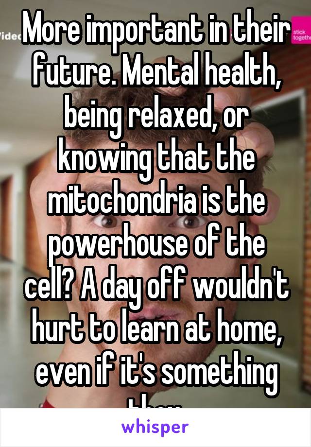 More important in their future. Mental health, being relaxed, or knowing that the mitochondria is the powerhouse of the cell? A day off wouldn't hurt to learn at home, even if it's something they 