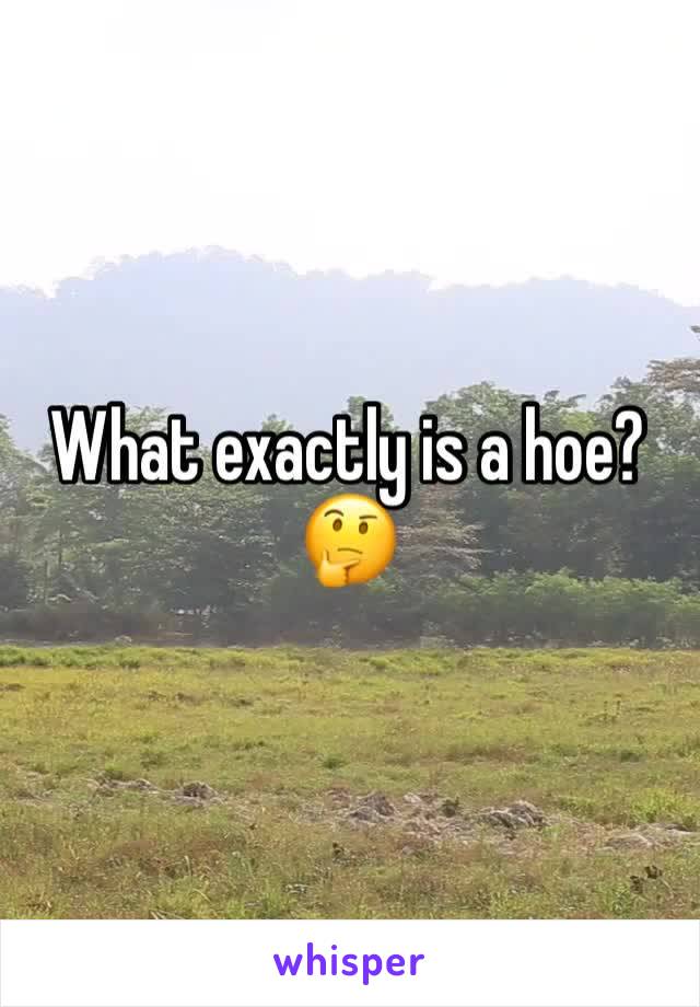 What exactly is a hoe?🤔