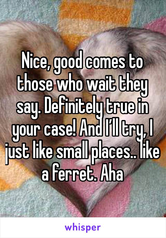 Nice, good comes to those who wait they say. Definitely true in your case! And I’ll try, I just like small places.. like a ferret. Aha