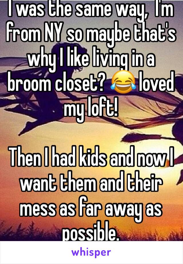 I was the same way,  I'm from NY so maybe that's why I like living in a broom closet? 😂 loved my loft! 

Then I had kids and now I want them and their mess as far away as possible. 