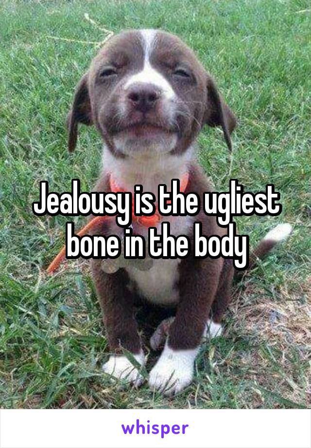 Jealousy is the ugliest bone in the body