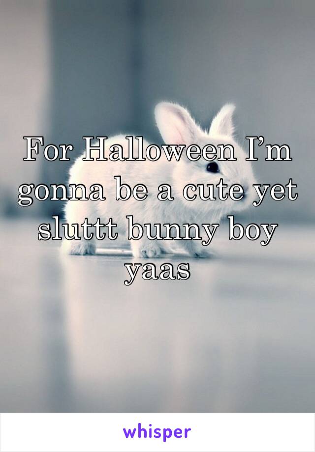 For Halloween I’m gonna be a cute yet sluttt bunny boy yaas