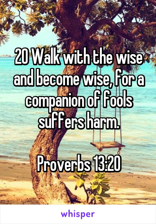 20 Walk with the wise and become wise, for a companion of fools suffers harm.

Proverbs 13:20