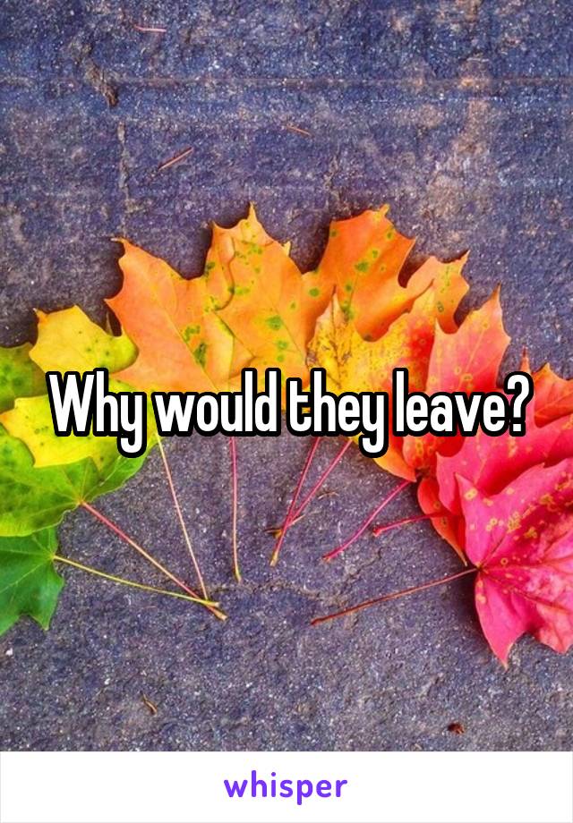 Why would they leave?