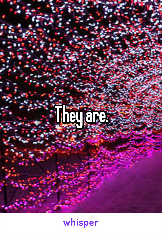 They are.