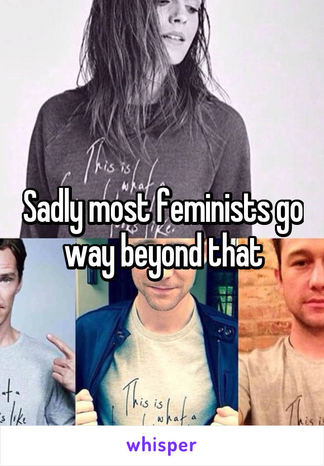 Sadly most feminists go way beyond that