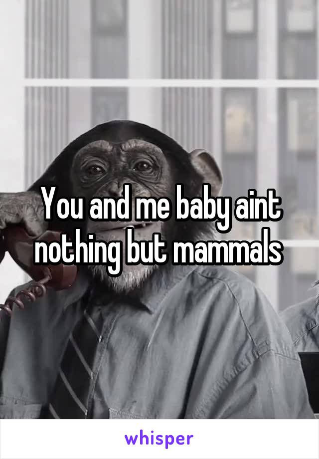 You and me baby aint nothing but mammals 