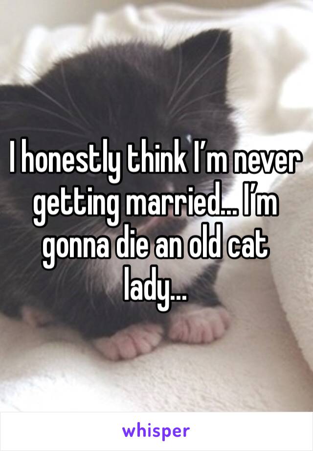 I honestly think I’m never getting married... I’m gonna die an old cat lady...