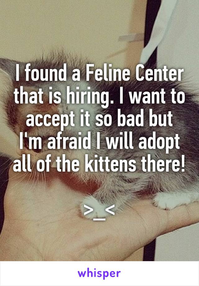 I found a Feline Center that is hiring. I want to accept it so bad but I'm afraid I will adopt all of the kittens there! 
>_<