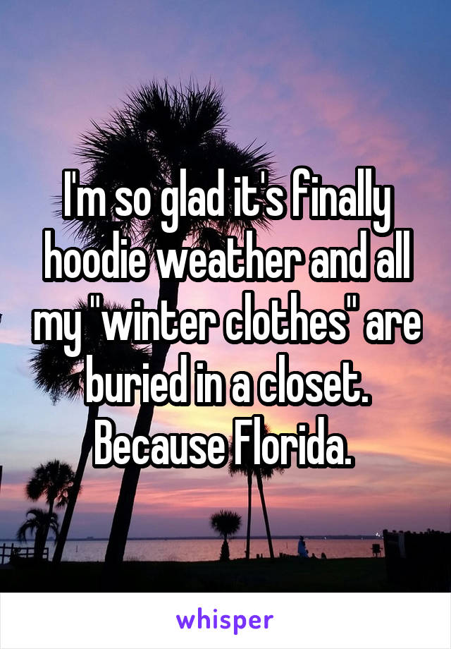 I'm so glad it's finally hoodie weather and all my "winter clothes" are buried in a closet. Because Florida. 