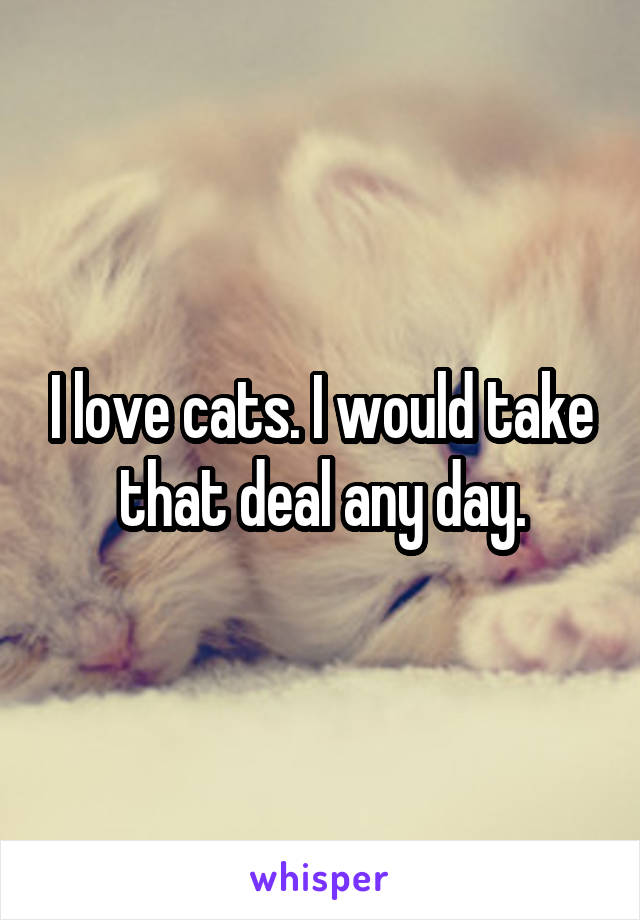 I love cats. I would take that deal any day.