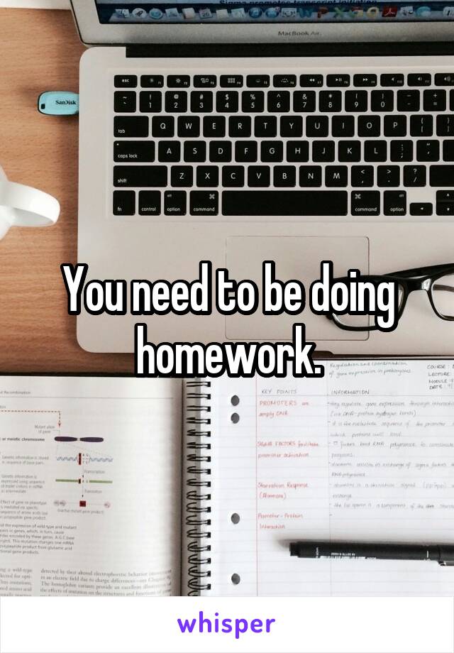 You need to be doing homework.