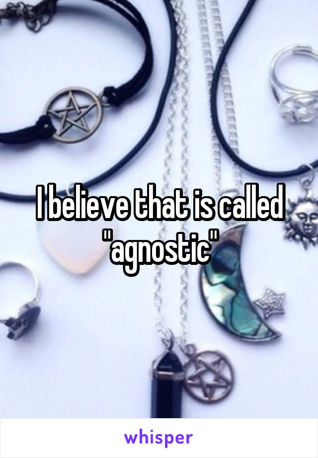 I believe that is called "agnostic"