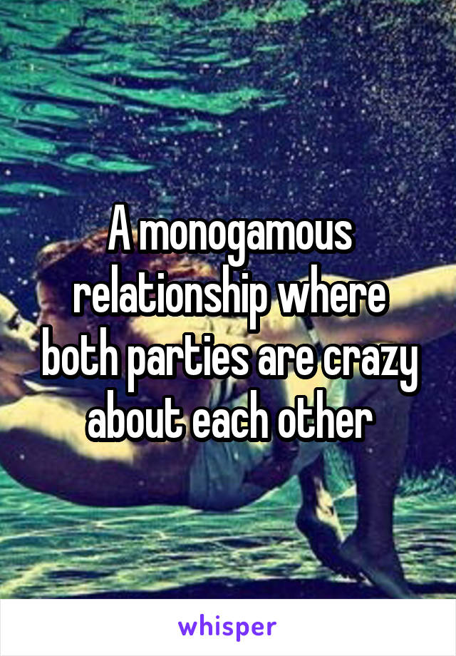 A monogamous relationship where both parties are crazy about each other