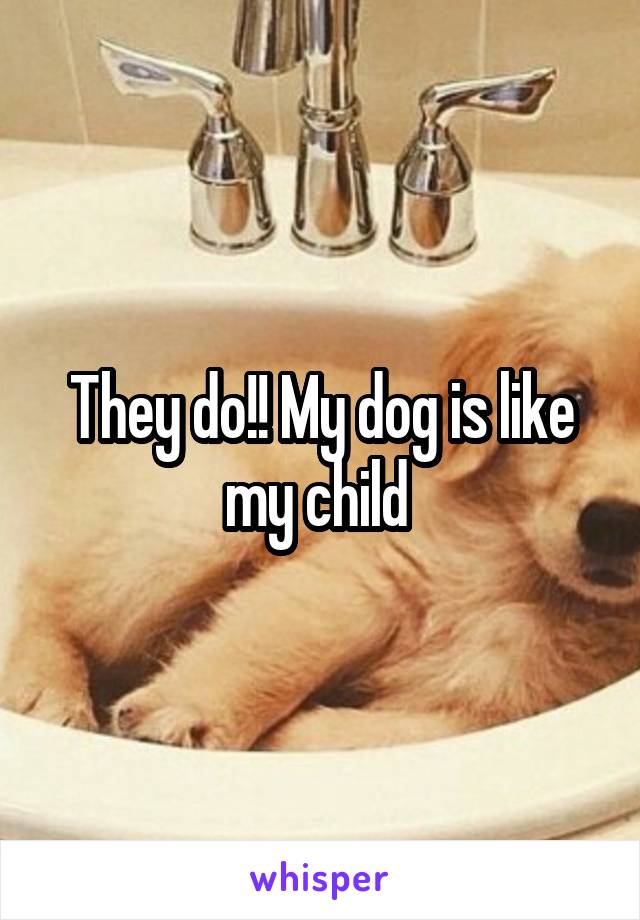 They do!! My dog is like my child 