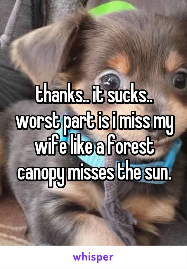 thanks.. it sucks.. worst part is i miss my wife like a forest canopy misses the sun.
