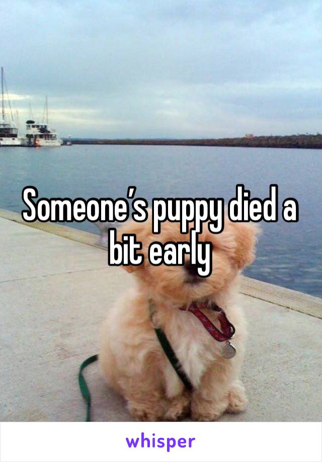 Someone’s puppy died a bit early