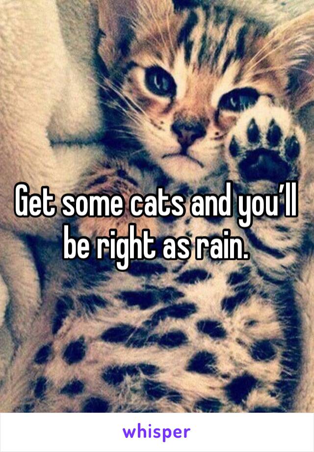 Get some cats and you’ll be right as rain. 