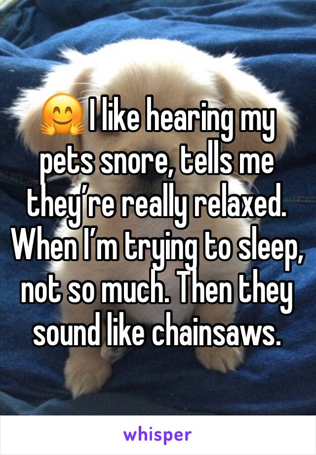 🤗 I like hearing my pets snore, tells me they’re really relaxed. When I’m trying to sleep, not so much. Then they sound like chainsaws.