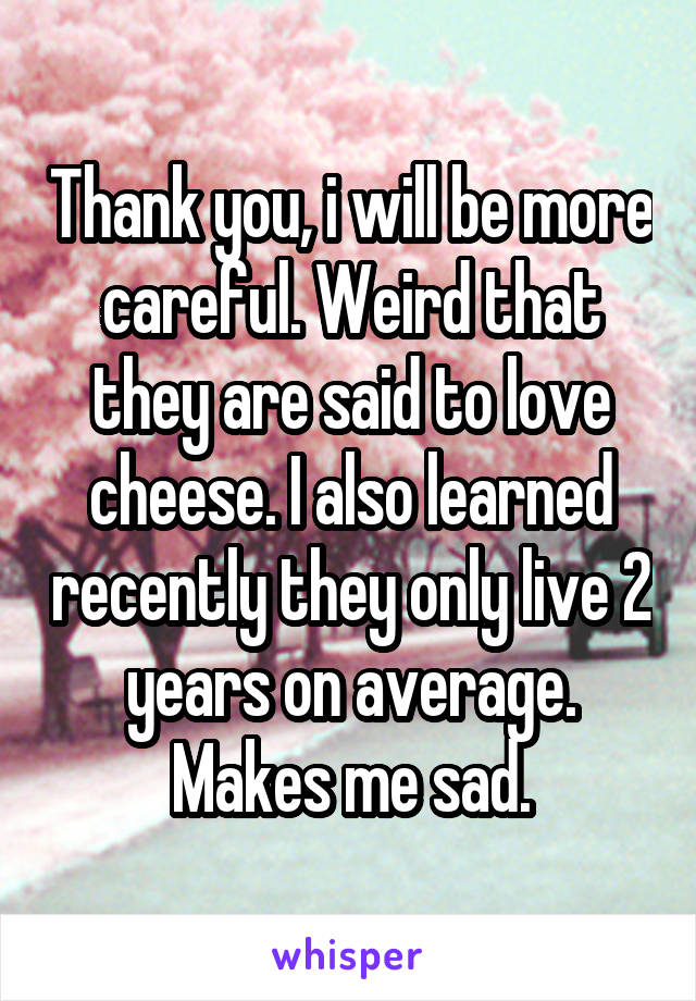Thank you, i will be more careful. Weird that they are said to love cheese. I also learned recently they only live 2 years on average. Makes me sad.