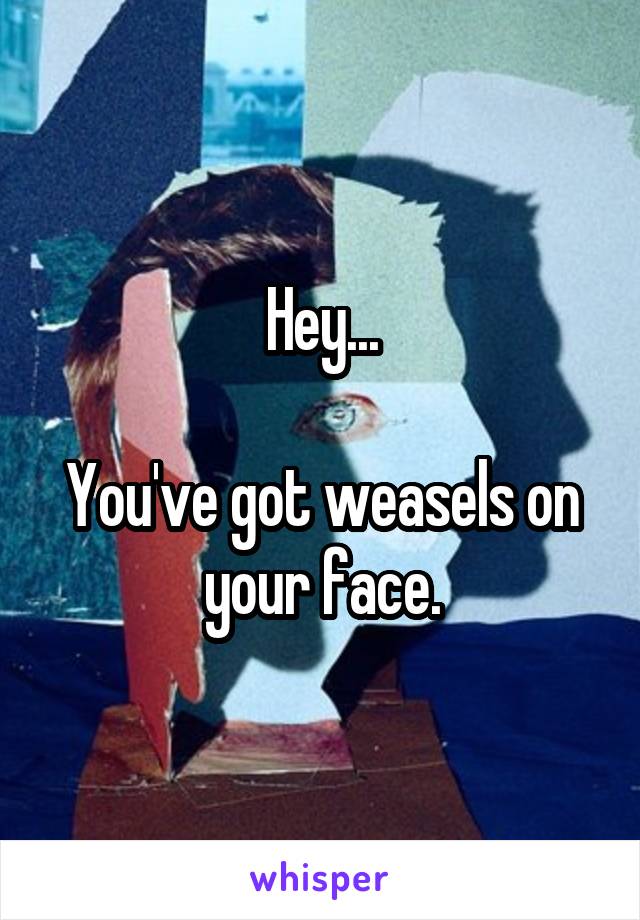 Hey...

You've got weasels on your face.