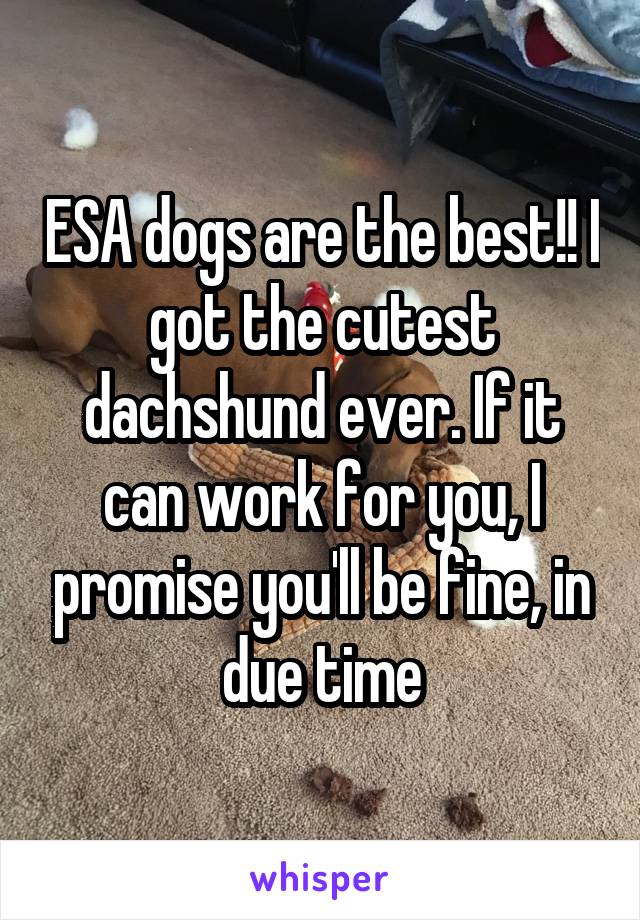 ESA dogs are the best!! I got the cutest dachshund ever. If it can work for you, I promise you'll be fine, in due time