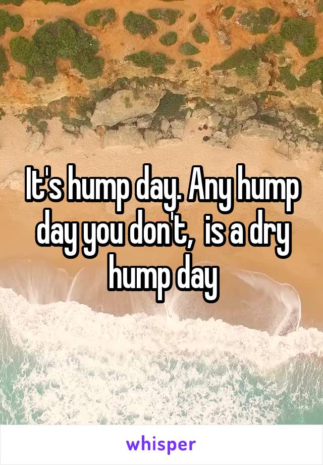 It's hump day. Any hump day you don't,  is a dry hump day