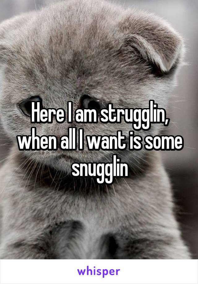 Here I am strugglin, when all I want is some snugglin