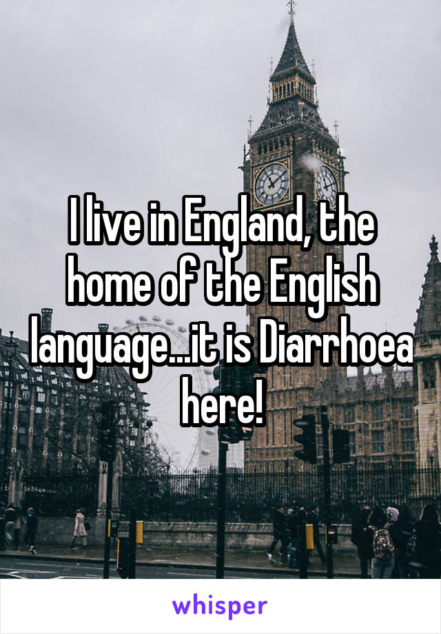 I live in England, the home of the English language...it is Diarrhoea here!