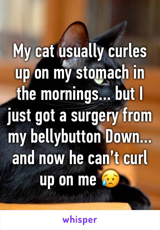 My cat usually curles up on my stomach in the mornings... but I just got a surgery from my bellybutton Down... and now he can’t curl up on me 😥