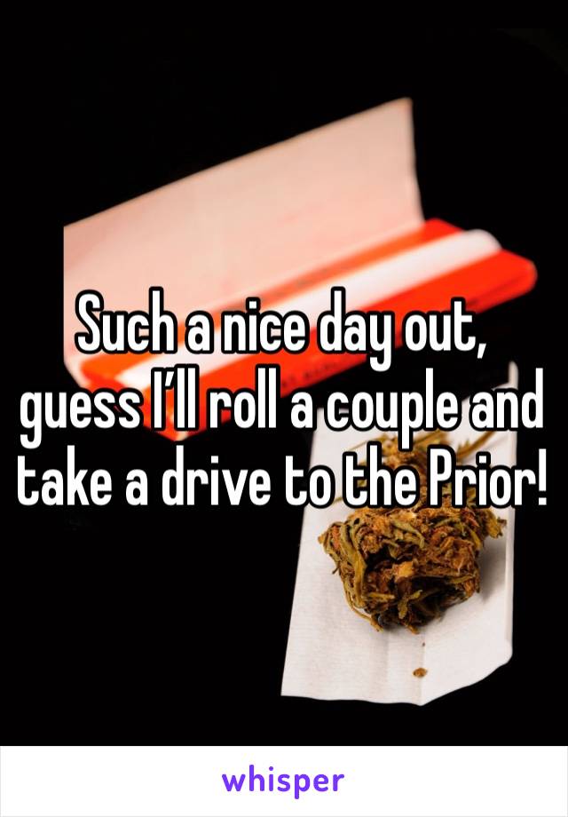 Such a nice day out, guess I’ll roll a couple and take a drive to the Prior!