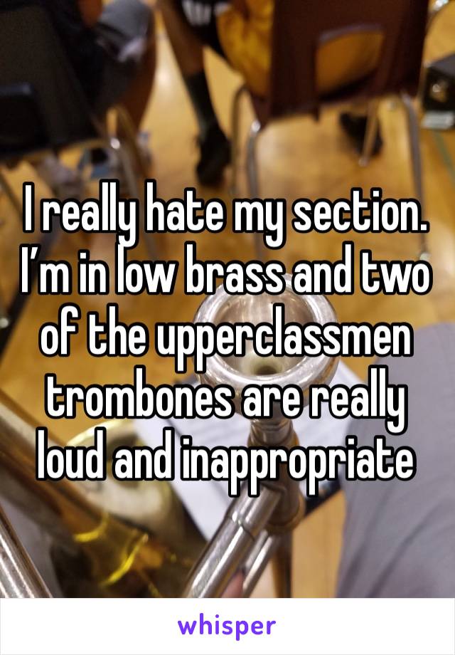 I really hate my section. I’m in low brass and two of the upperclassmen trombones are really loud and inappropriate 