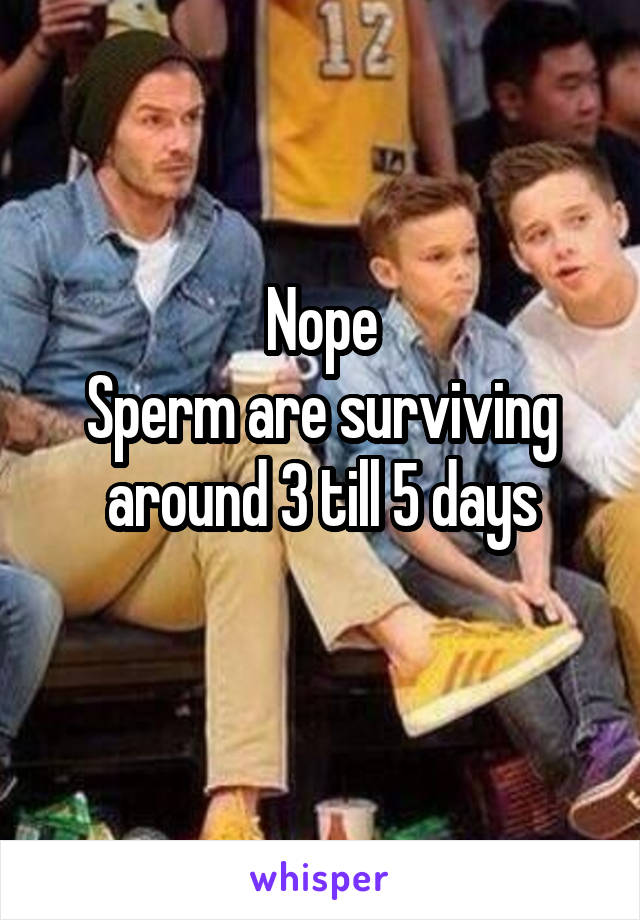 Nope
Sperm are surviving around 3 till 5 days
