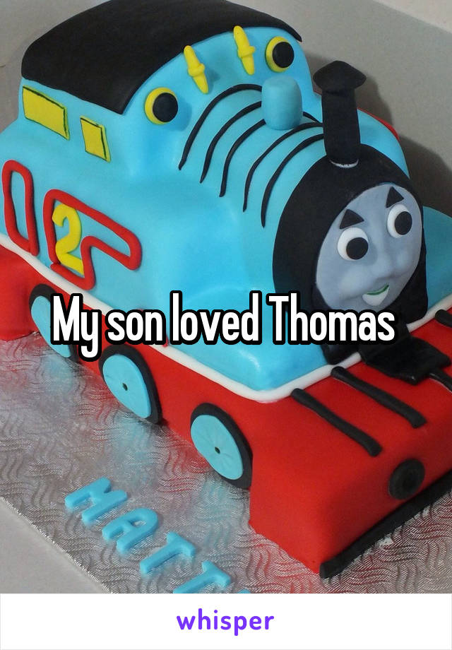My son loved Thomas 