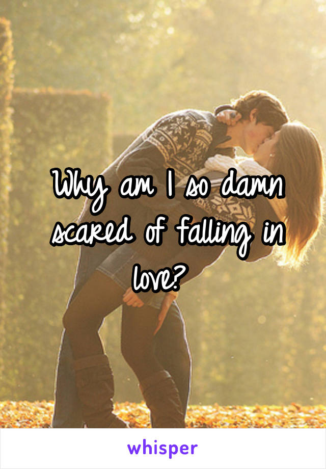 Why am I so damn scared of falling in love? 
