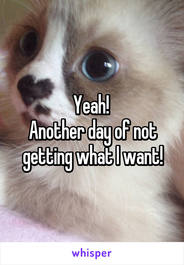 Yeah! 
Another day of not getting what I want!