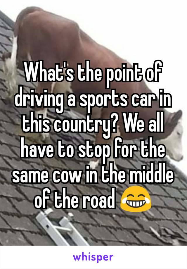 What's the point of driving a sports car in this country? We all have to stop for the same cow in the middle of the road ðŸ˜‚