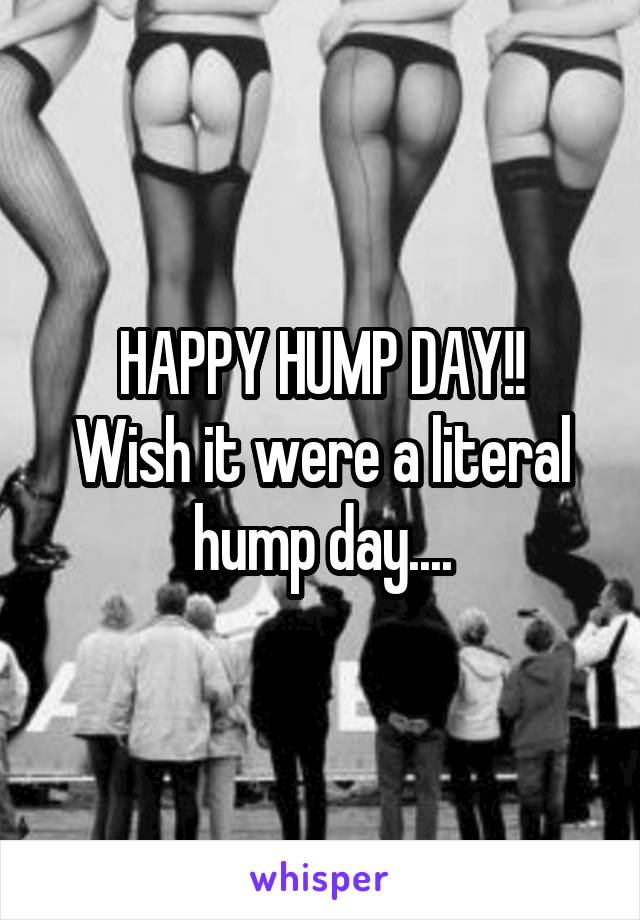HAPPY HUMP DAY!!
Wish it were a literal hump day....