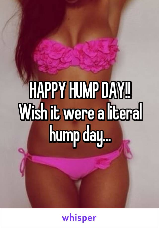 HAPPY HUMP DAY!!
Wish it were a literal hump day...