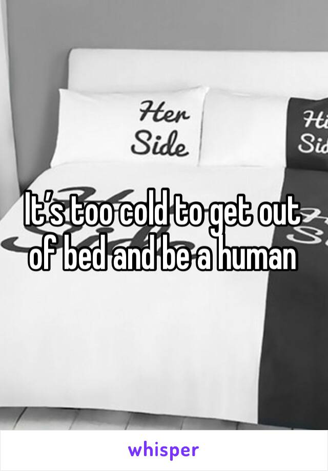 It’s too cold to get out of bed and be a human 